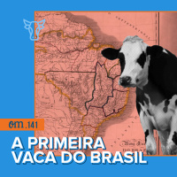 #141 - A primeira vaca do Brasil