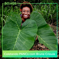 #66  -  Coletando PANCs com Bruna Crioula
