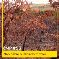 #53  -  Não deixe o Cerrado morrer
