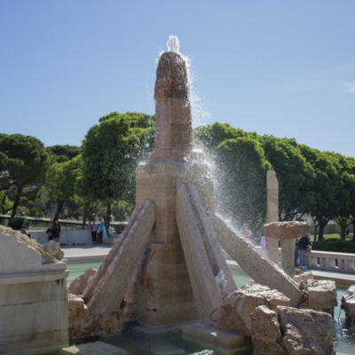 Jovem Conservador De Direita