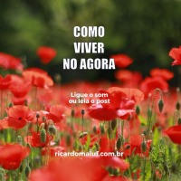 Como Viver No Agora - Por Ricardo Maluf