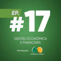 #17 - Gestão econômica e financeira