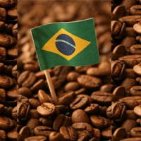 #285 Café, economia e finanças com o economista Sandro Prado - 24.07.2020