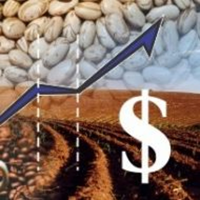 De Carona Nas Finanças