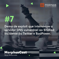 Demo de exploit que interrompe o servidor DNS vulnerável ao SIGRed Incidente do Twitter e BadPower