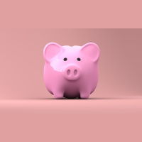 3.1.2《猪的习语》