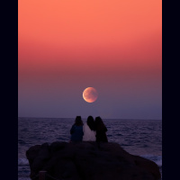 2.2.42B《此心安处是吾乡》Story walkthrough