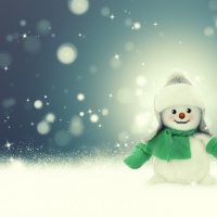 2.1.3A 故事“雪孩子”