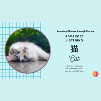 3.3.24B《猫》Story Walkthrough