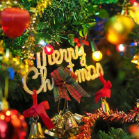 2.2.17B 故事解读《给予树》