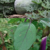 1.3.19B 故事解读《一次比一次有进步》