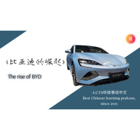 3.1.27A《比亚迪的崛起》Story