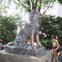 2.2.23A《忠犬八公》