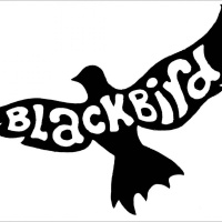 Historias de un jueves 6: Blackbird