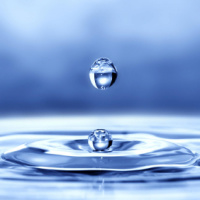 Cap 10: Meditación y Mindfulness