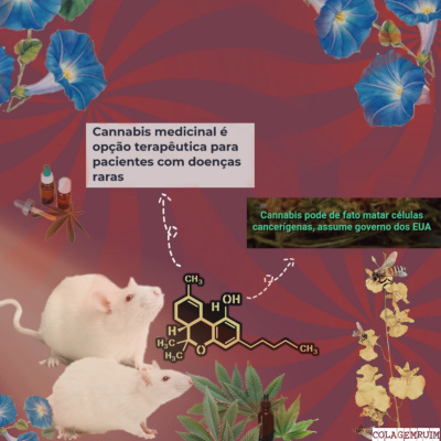 Rede Poderosa De Intrigas