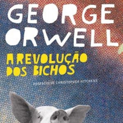 Rede Poderosa De Intrigas