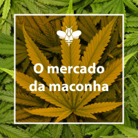 #7 O mercado da maconha