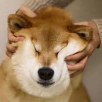 INVESTIRE in DOGECOIN -- Solo un MEME o cè di più ??
