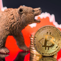 FINE della BULL RUN per il BITCOIN ???