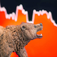 Come COMPORTARSI durante un BEAR MARKET