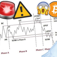 Ecco perché BITCOIN è CROLLATO del 50%