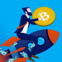 Perché BITCOIN POTREBBE NON CROLLARE in questa BULL RUN !!!!
