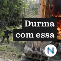 A lei pró-garimpo para proteger máquinas da destruição em Roraima