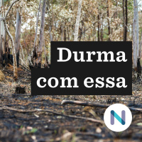 O futuro incerto do monitoramento do desmate no Cerrado
