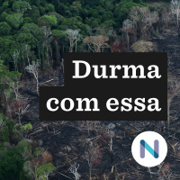 A articulação externa para obrigar o Brasil a agir contra o desmate