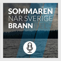 Del 3/3: Sommaren när Sverige brann
