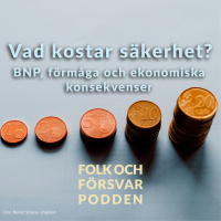 Vad kostar säkerhet? BNP, förmåga och ekonomiska konsekvenser