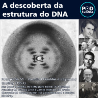 Episódio 17 - A Descoberta da Estrutura do DNA