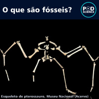 Episódio 16 - O que são fósseis?