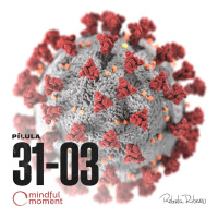 Dia 9 - Covid-19 em imersão