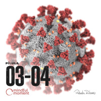 Dia 12 - Covid-19 em imersão