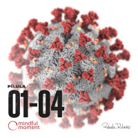 Dia 10 - Covid-19 em imersão