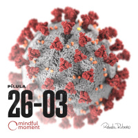 Dia 6 - Covid-19 em imersão