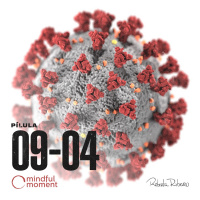 Dia 16 - Covid-19 em imersão