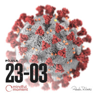 Dia 3 - Covid-19 em imersão