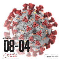 Dia 15 - Covid-19 em imersão