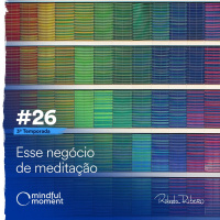 S3 E26 - Esse negócio de meditação