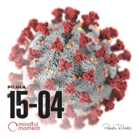 Dia 20 - Covid-19 em imersão