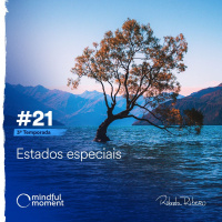 S3 E21 - Estados especiais