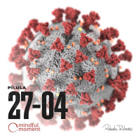 Dia 26 - Covid-19 em imersão