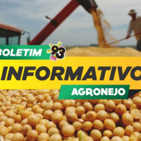 Episode 463: Boletim Agronejo