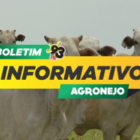 Episode 459: Boletim Agronejo