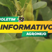 Episode 430: Boletim Agronejo