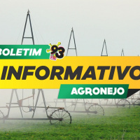 Episode 428: Boletim Agronejo