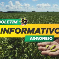 Episode 506: Boletim Agronejo